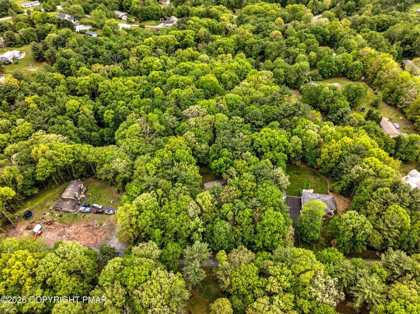 1585 Starry Lane