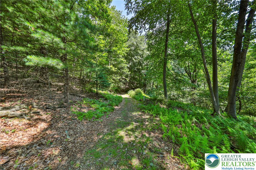 169 Dogwood Lane