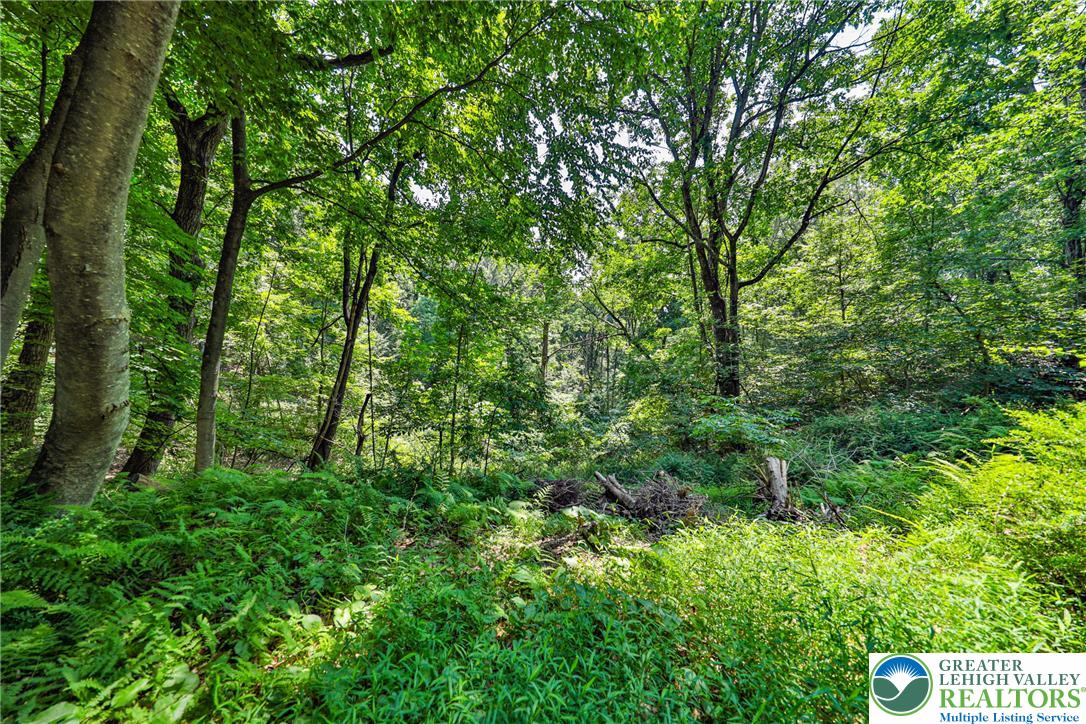 169 Dogwood Lane