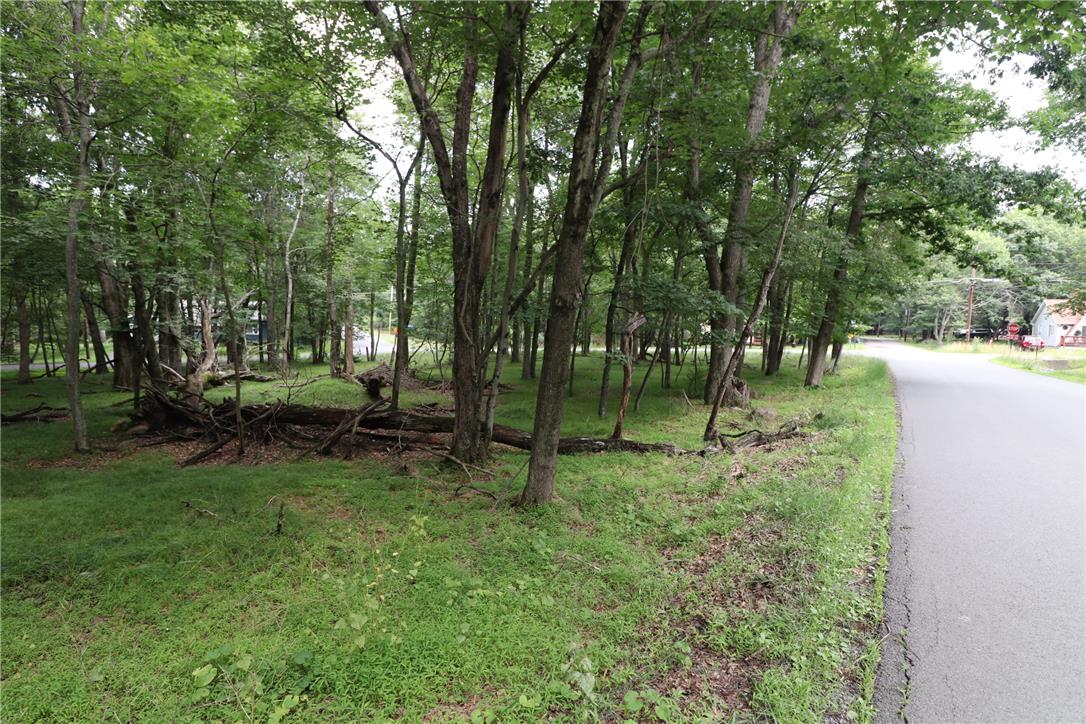 Long Brooke & Woodland Road