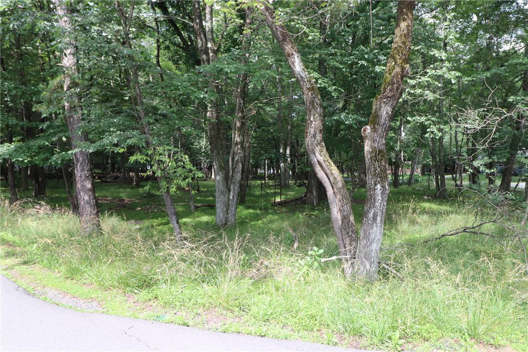 Long Brooke & Woodland Road