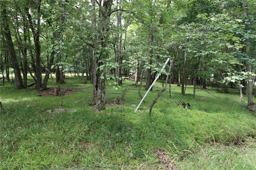 Long Brooke & Woodland Road