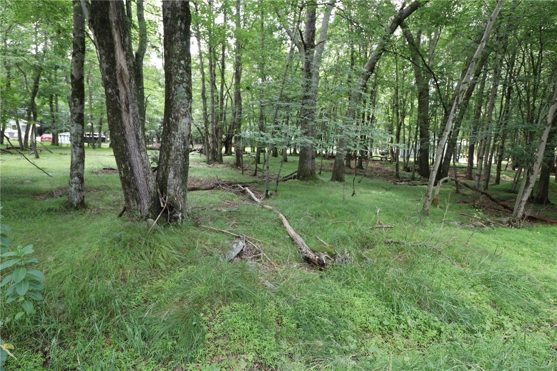Long Brooke & Woodland Road