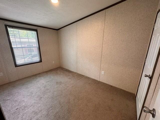 287 Birchwood