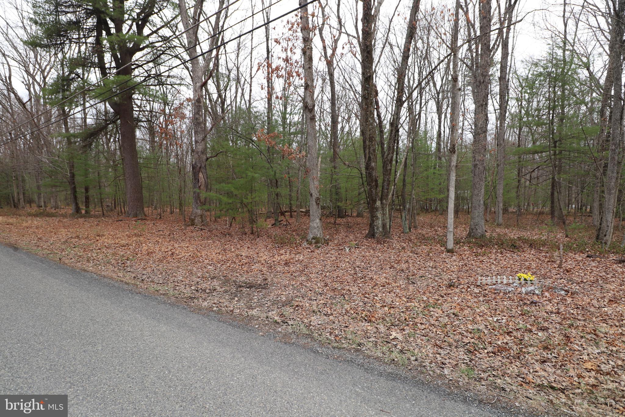 695 Towamensing Road