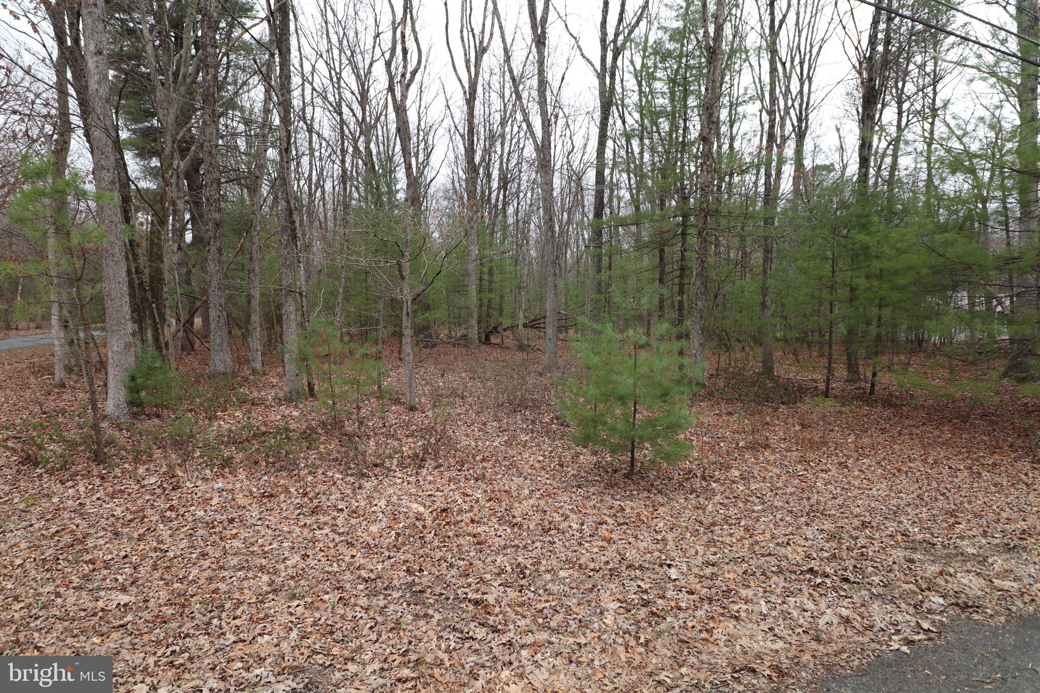 695 Towamensing Road