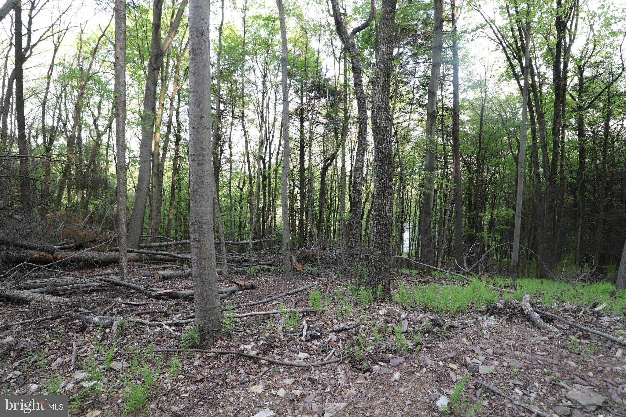 0 N North Creek Dr