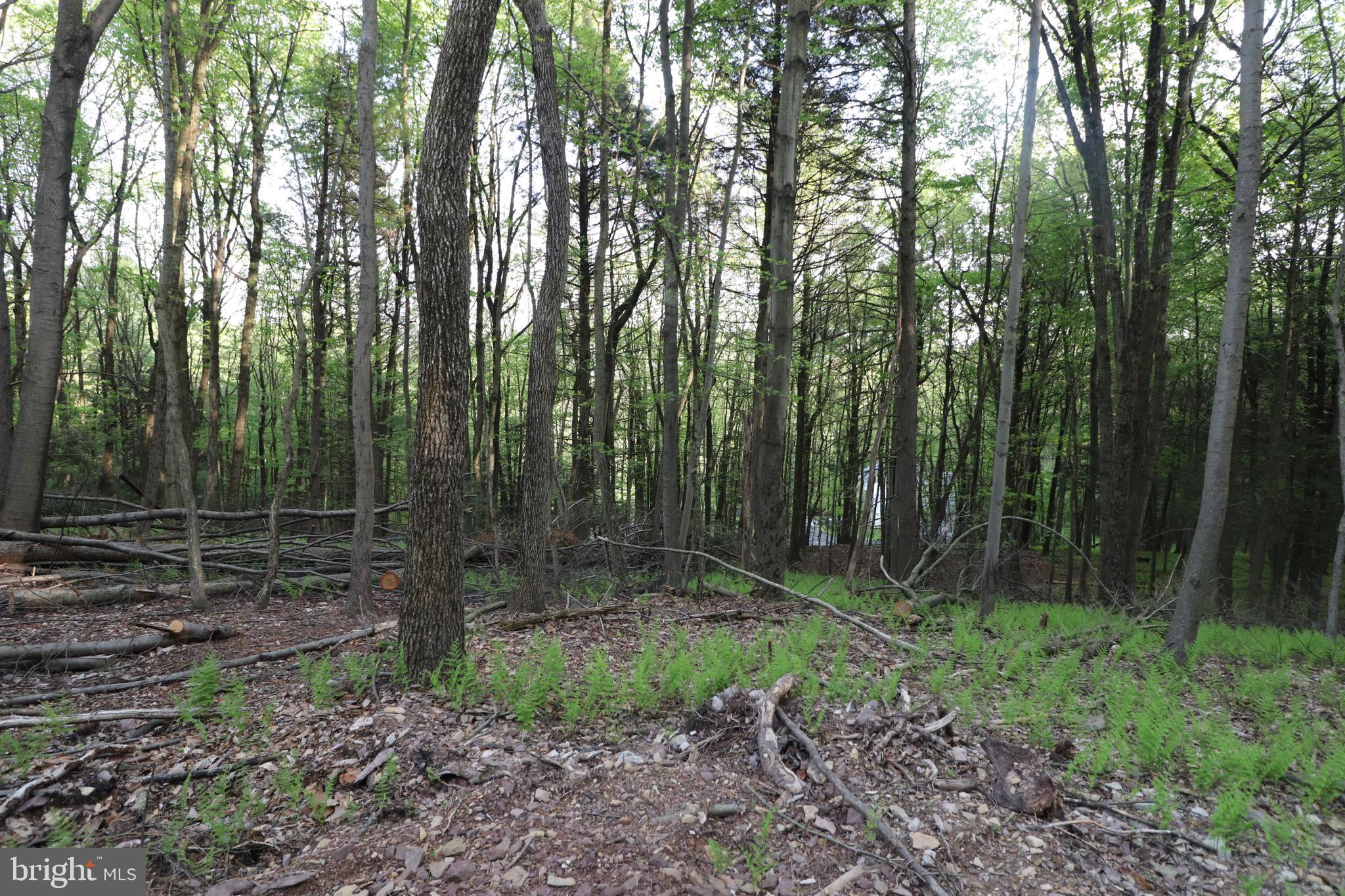 0 N North Creek Dr