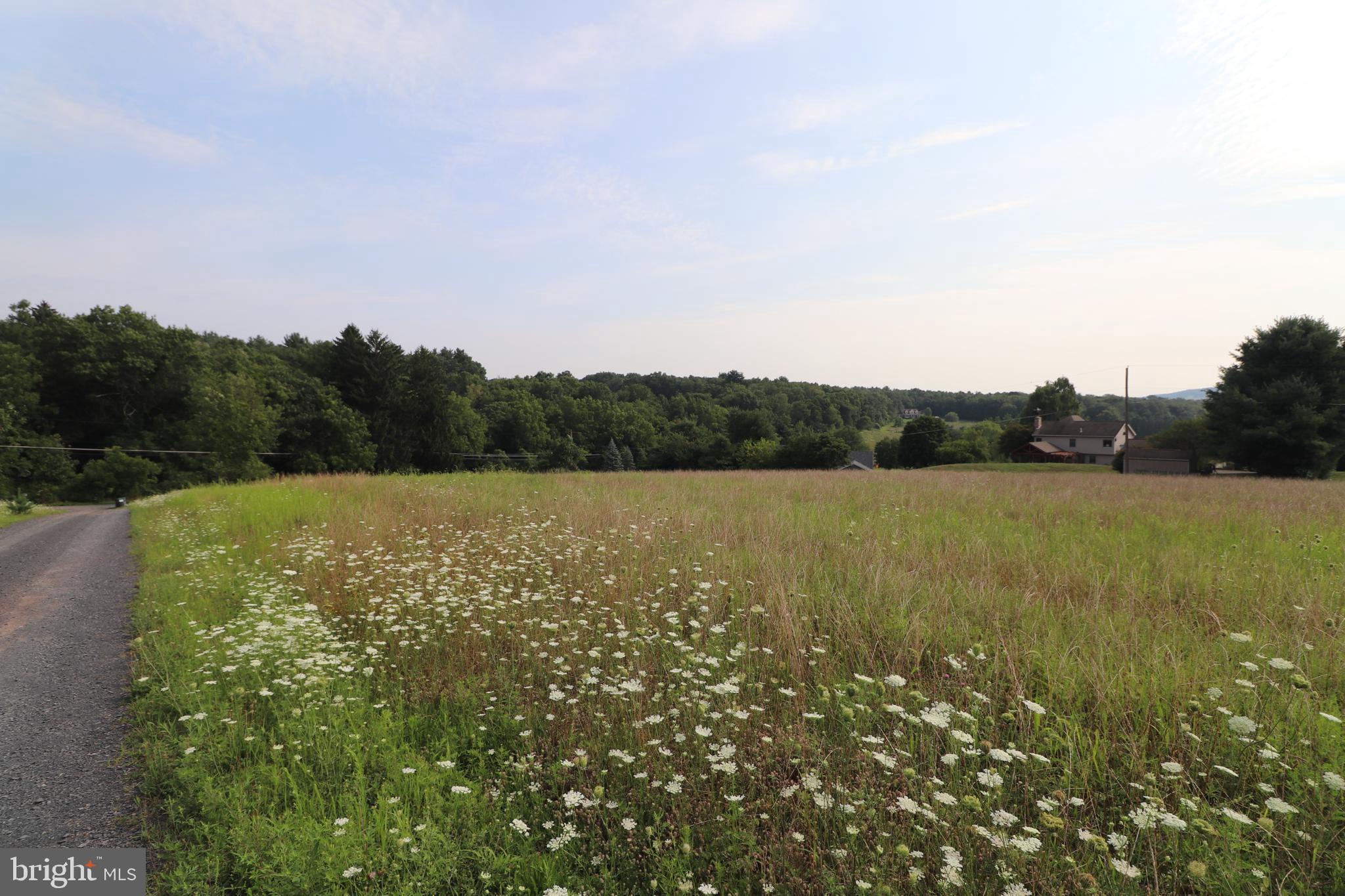 0 Upper Nis Hollow Dr