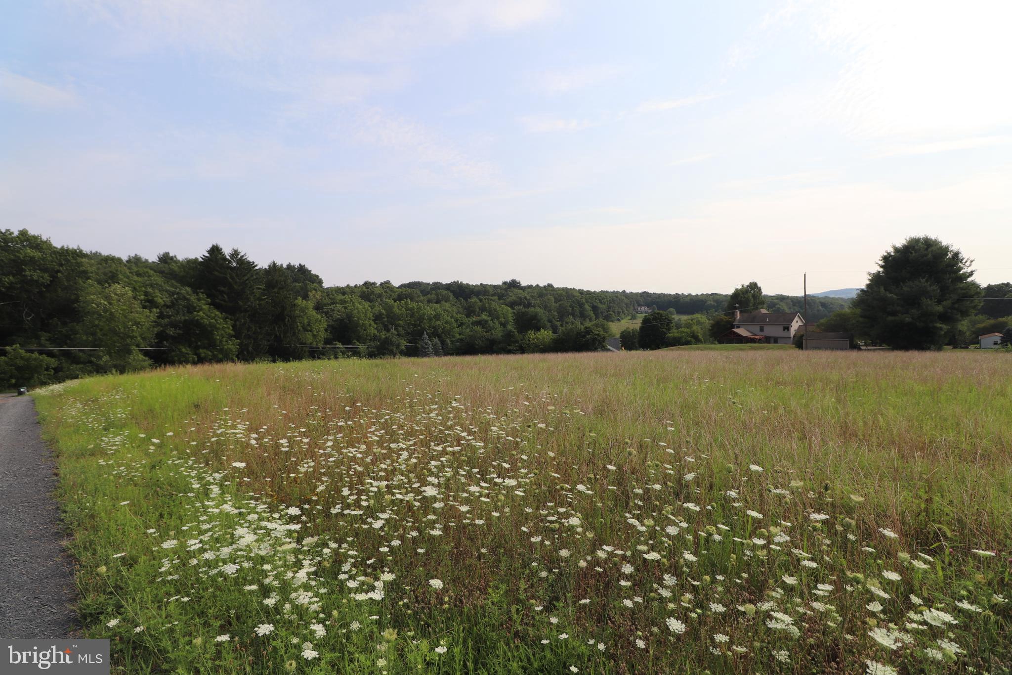 0 Upper Nis Hollow Dr