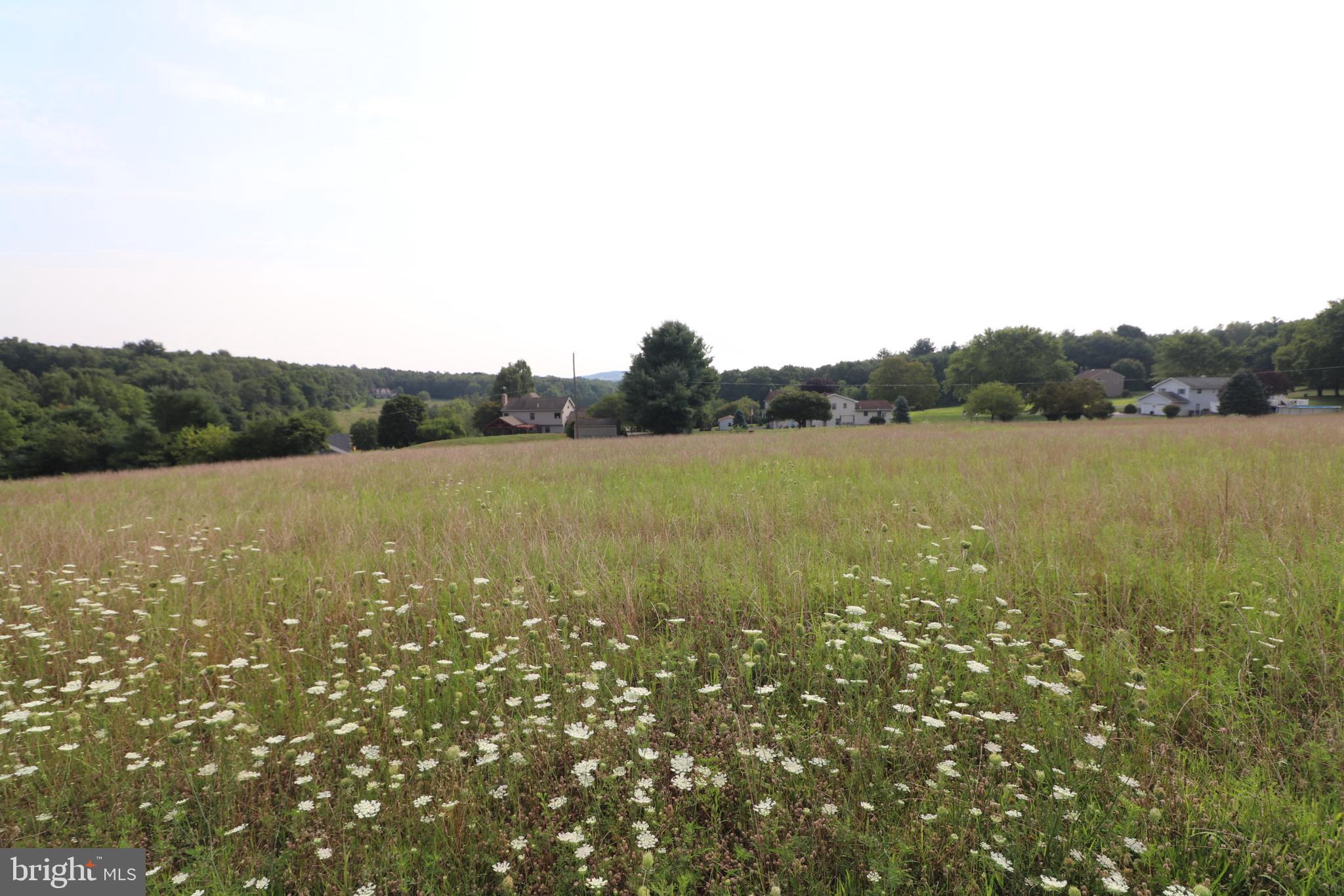 0 Upper Nis Hollow Dr