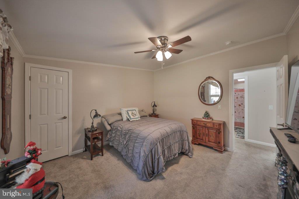 181 Ashley Ln