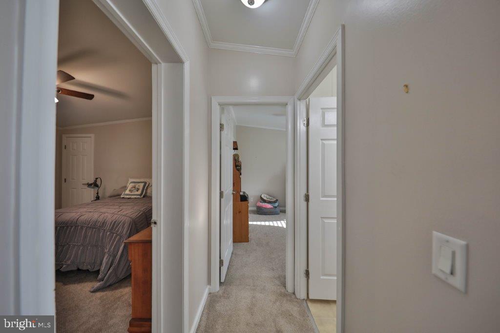 181 Ashley Ln
