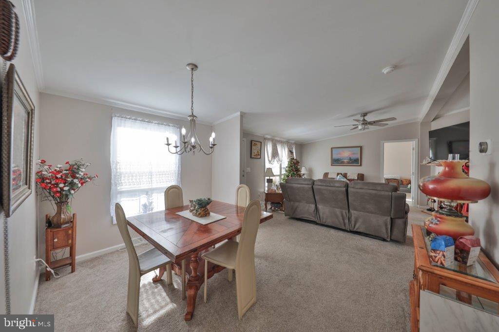 181 Ashley Ln