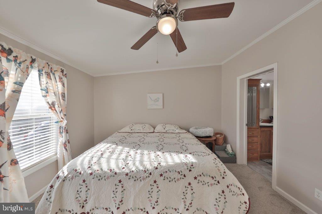 181 Ashley Ln
