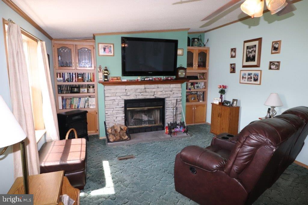 48 Shelby Dr