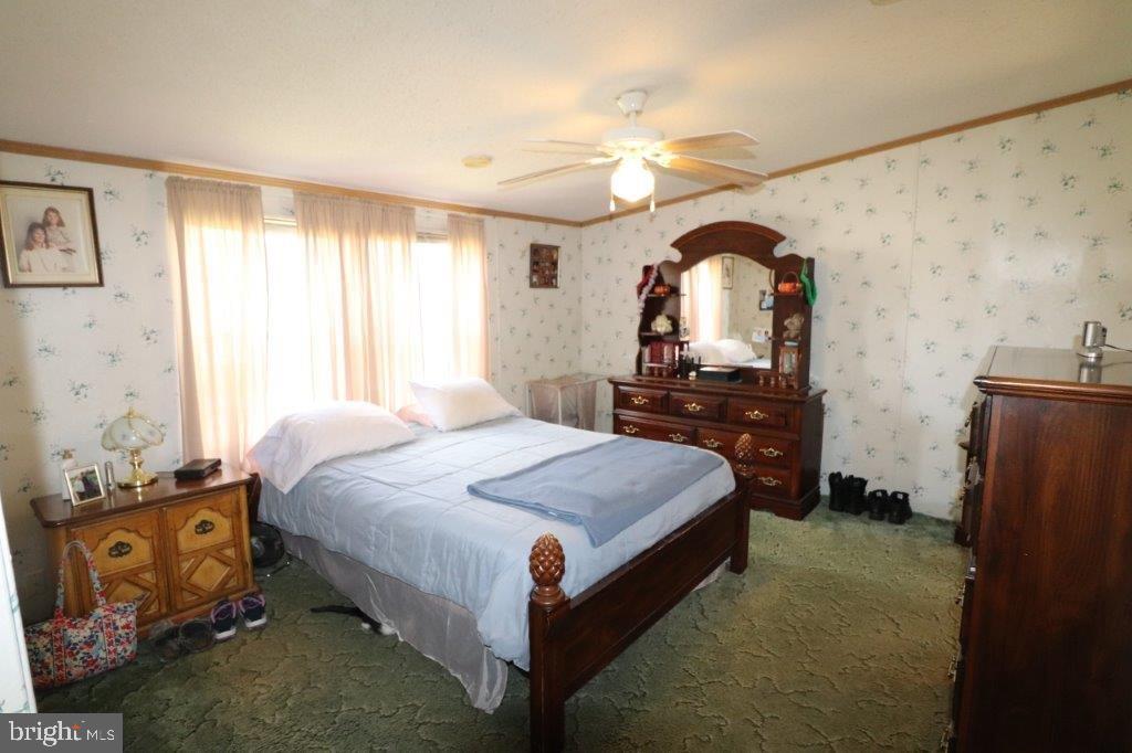 48 Shelby Dr