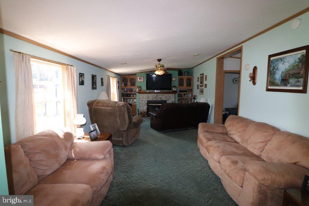 48 Shelby Dr