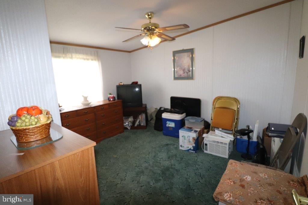 48 Shelby Dr