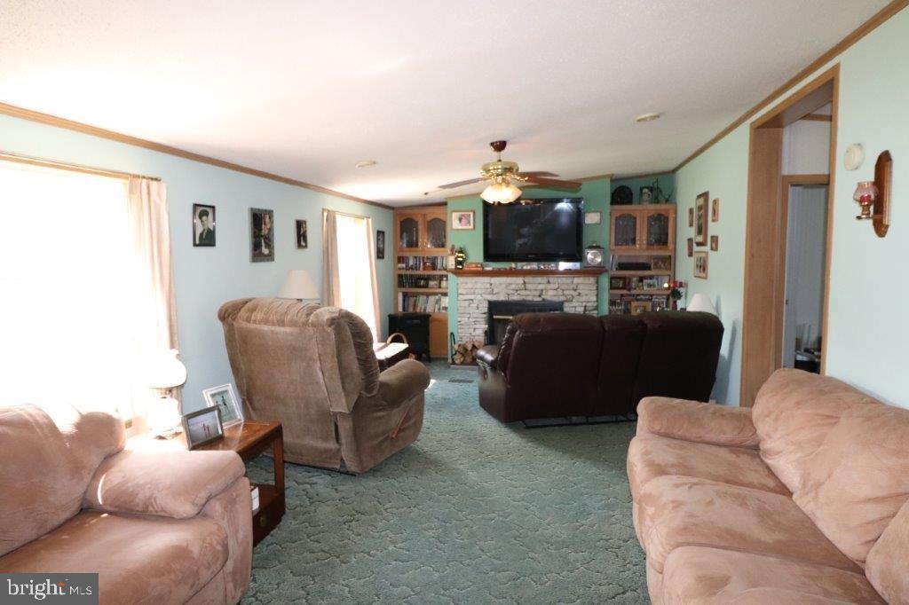 48 Shelby Dr
