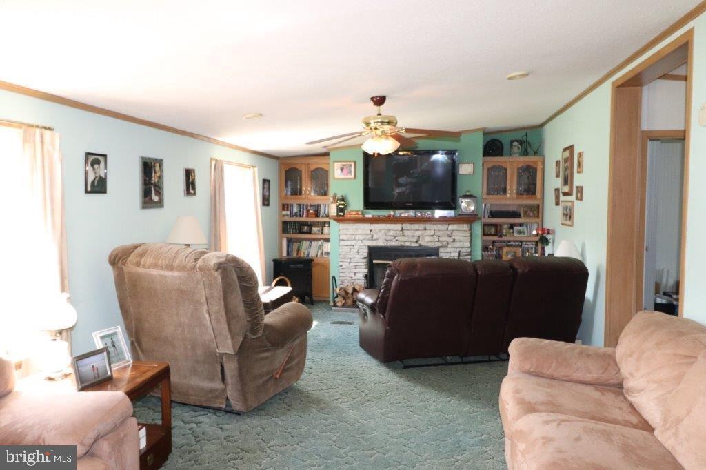 48 Shelby Dr