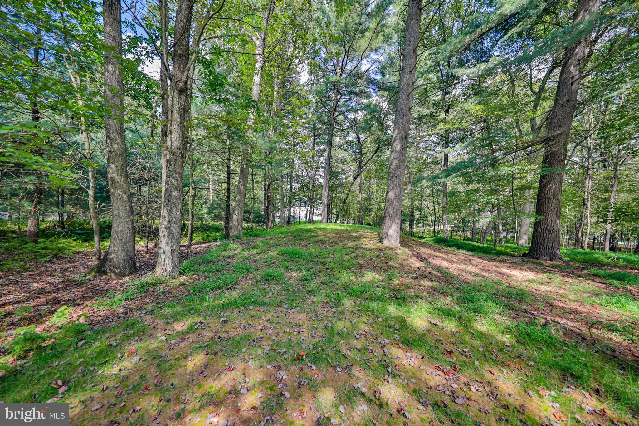 605 MILL RUN DRIVE