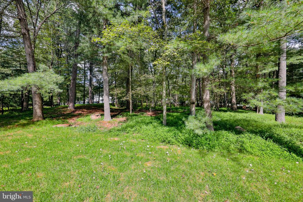605 MILL RUN DRIVE