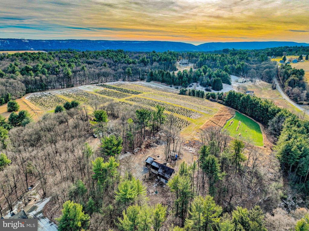 355 HICKORY ROAD