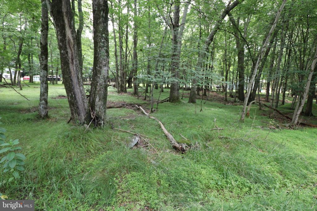 LONG BROOK WAY & WOODLAND ROAD