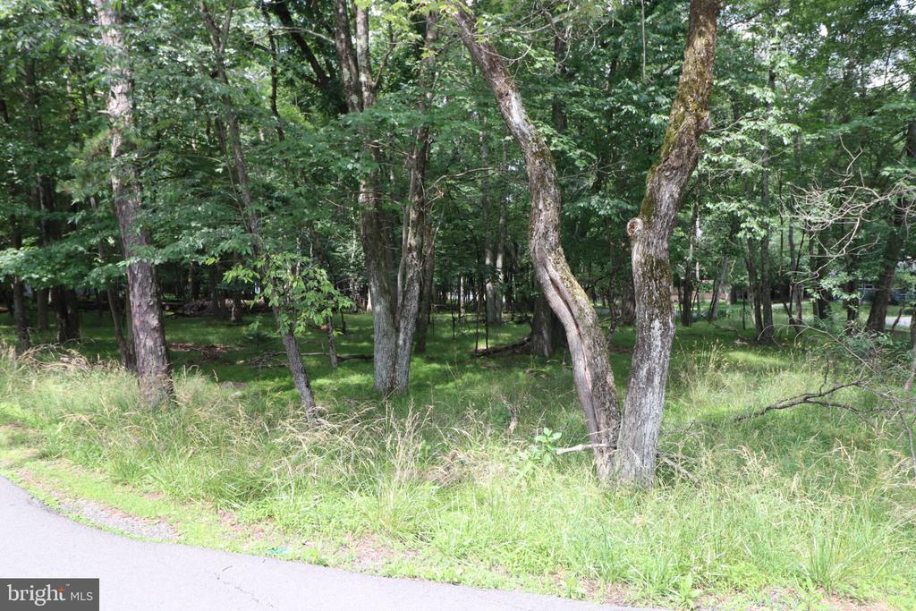 LONG BROOK WAY & WOODLAND ROAD