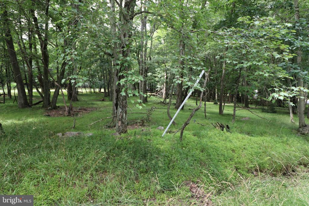 LONG BROOK WAY & WOODLAND ROAD