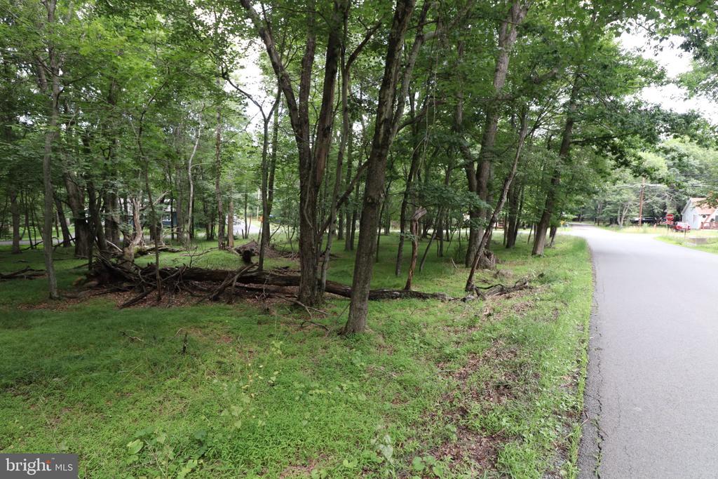 LONG BROOK WAY & WOODLAND ROAD