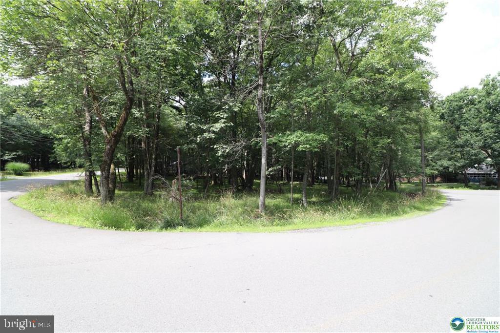 LONG BROOK WAY & WOODLAND ROAD