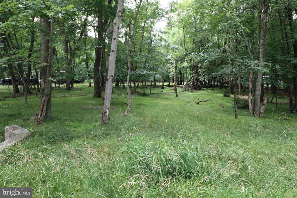 LONG BROOK WAY & WOODLAND ROAD