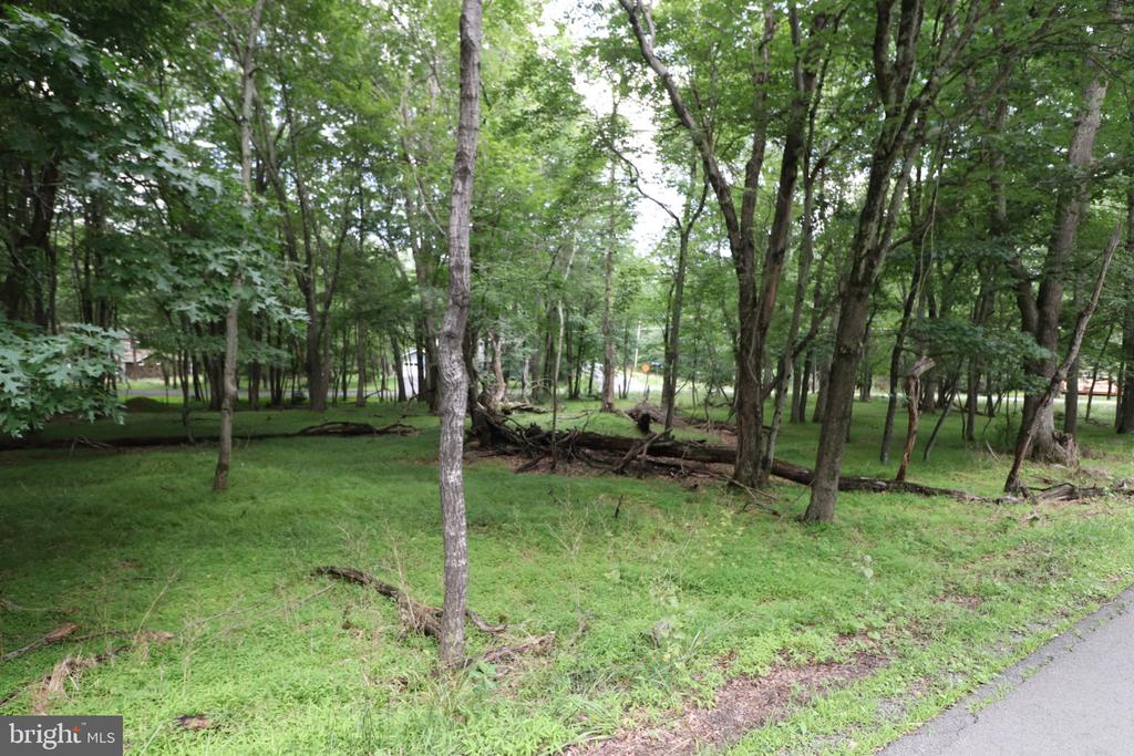 LONG BROOK WAY & WOODLAND ROAD