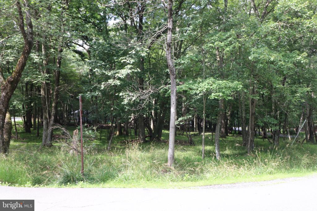 LONG BROOK WAY & WOODLAND ROAD