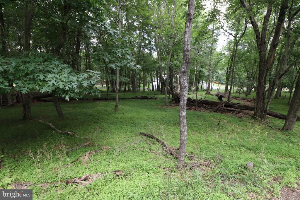 LONG BROOK WAY & WOODLAND ROAD