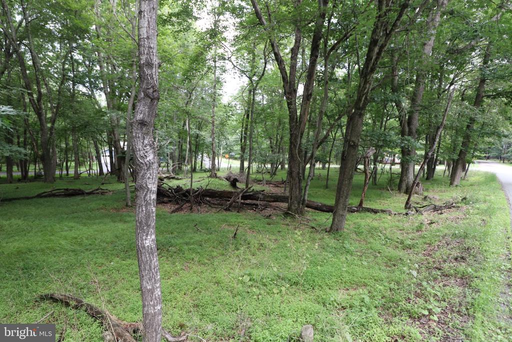 LONG BROOK WAY & WOODLAND ROAD