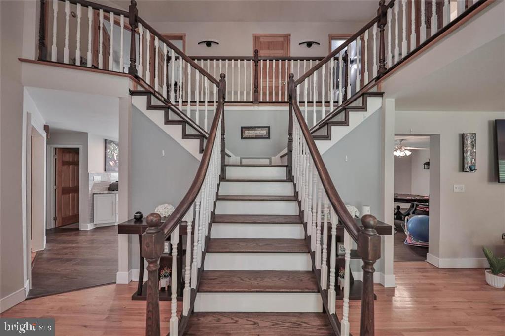3337 William Cir