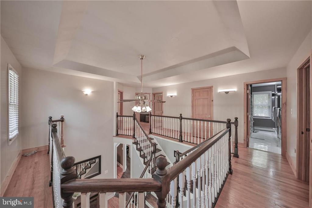 3337 William Cir