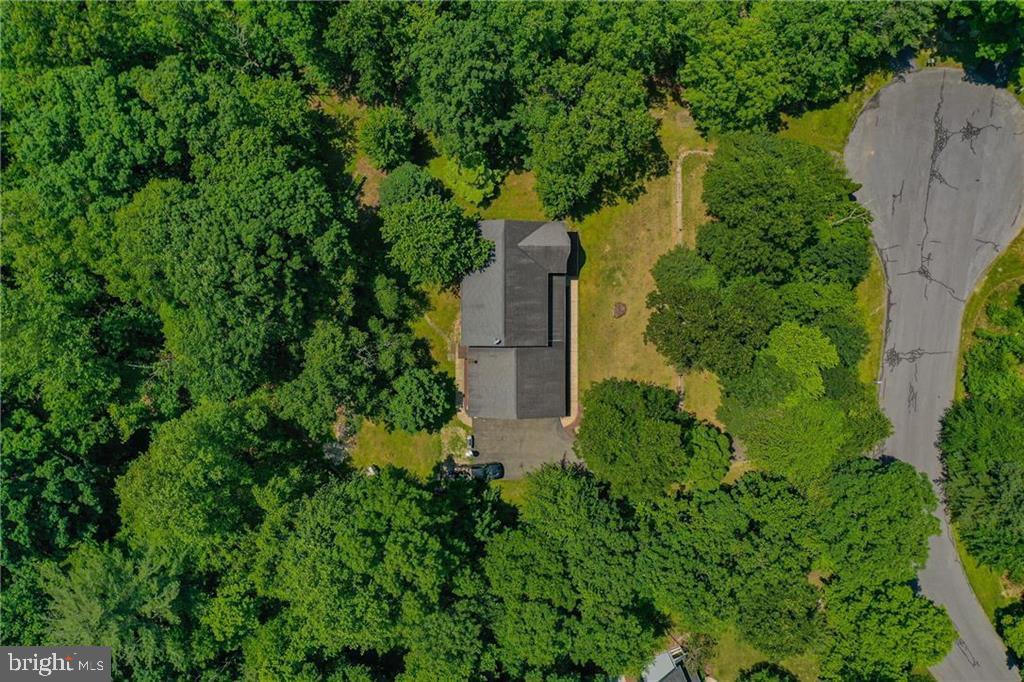3337 William Cir