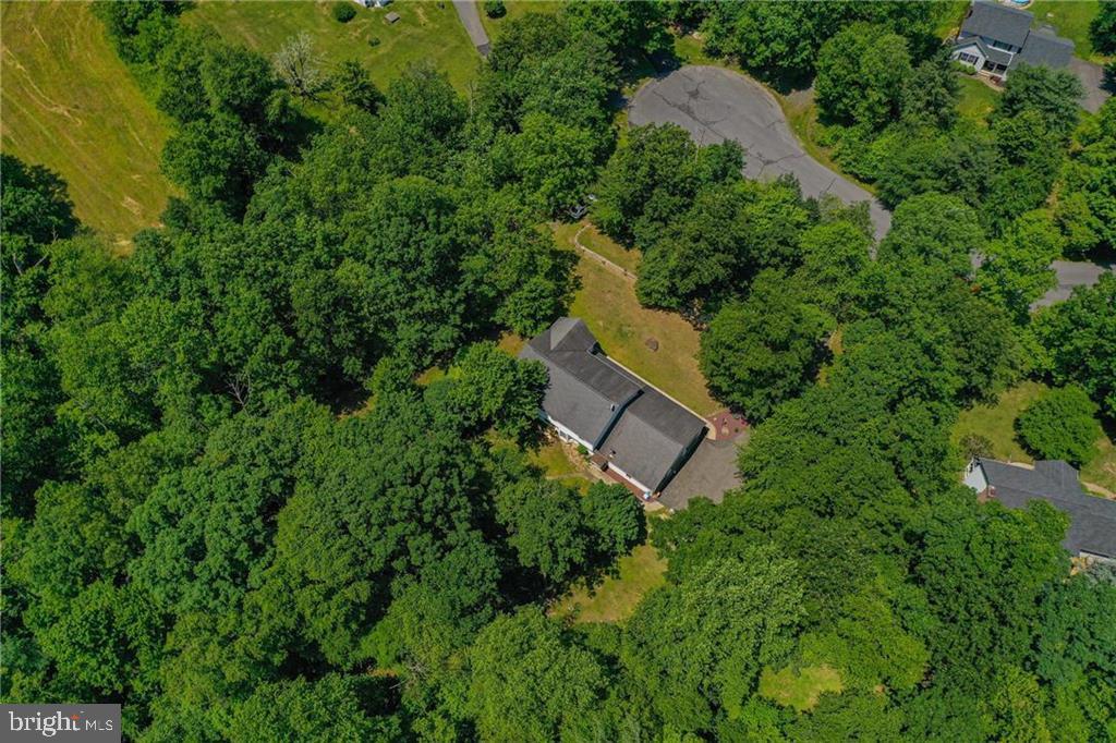 3337 William Cir
