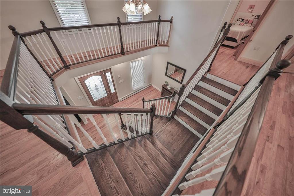 3337 William Cir
