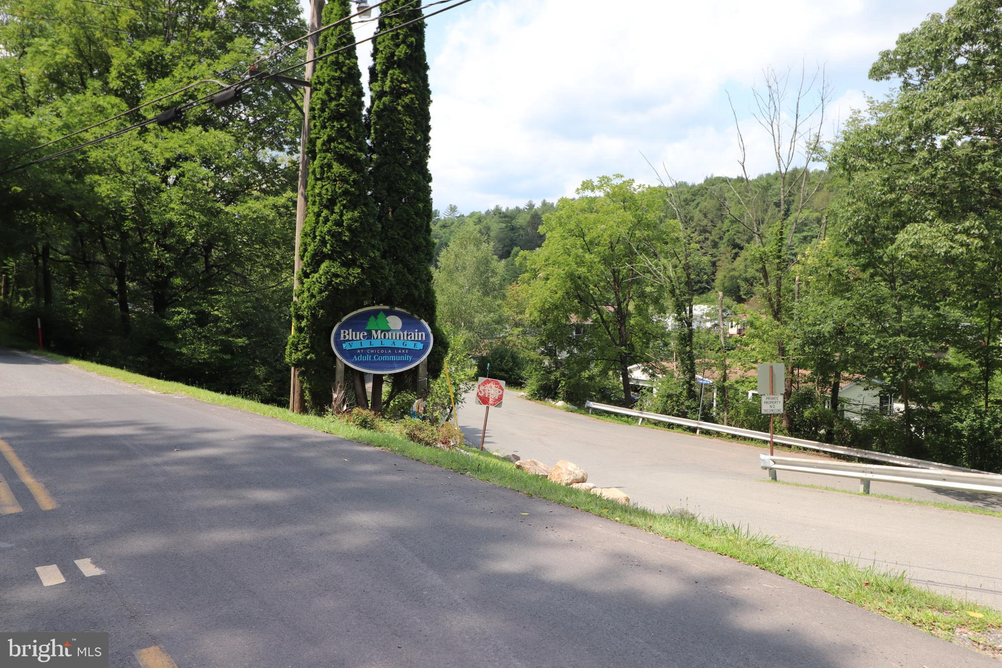 1215 Blue Mountain Cir