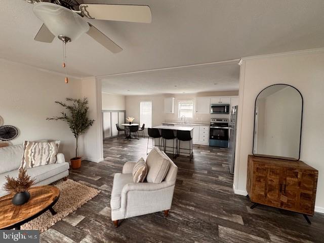 209 Fawn Valley Rd