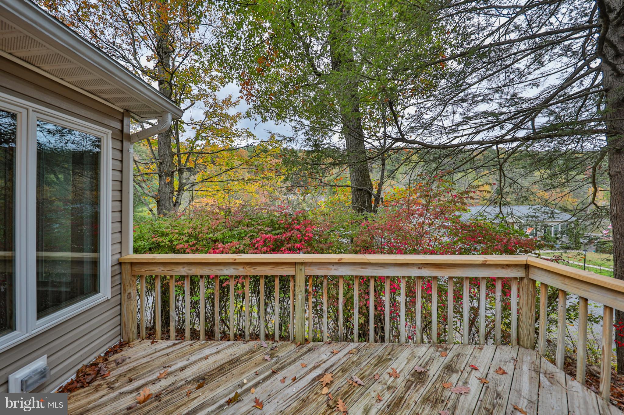 1243 BLUE MOUNTAIN CIRCLE