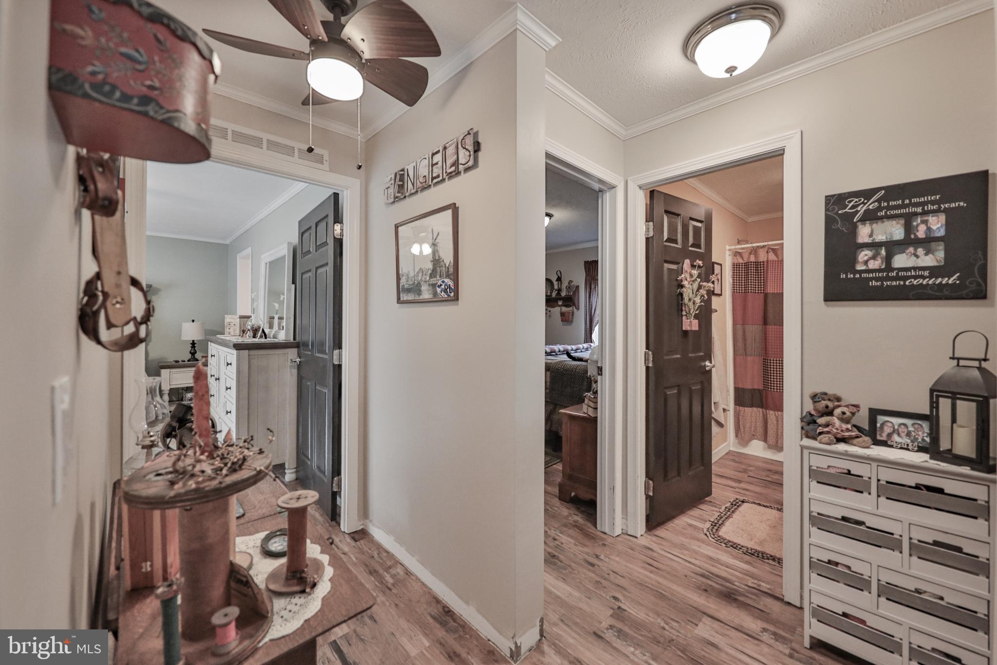 1242 BLUE MOUNTAIN CIRCLE