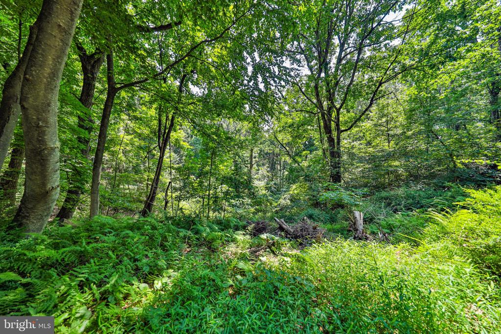 169 DOGWOOD LANE