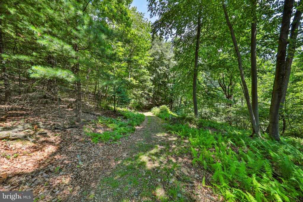 169 DOGWOOD LANE