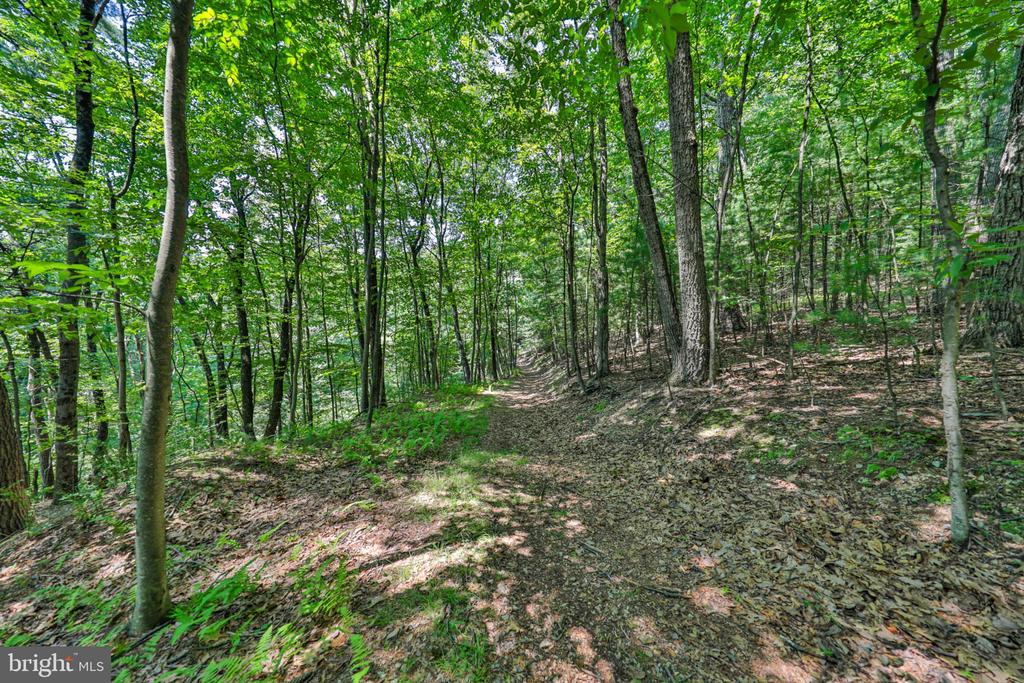 169 DOGWOOD LANE